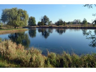 Property photo 121 - EHLE FARMS AUCTION - 118+/- ACRES IN 9 TRACTS IN ALLEN COUNTY, INDIANA